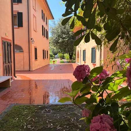 Cavalieri Del Mare